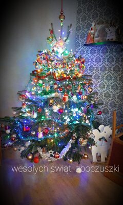 20201223_233935.jpg