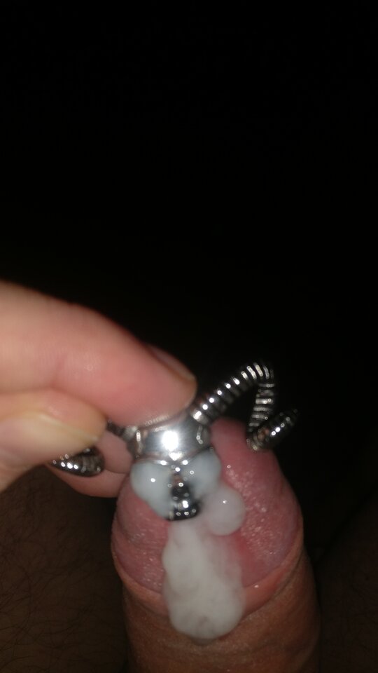 IMG_20201222_152954.jpg - Przystojny_bi