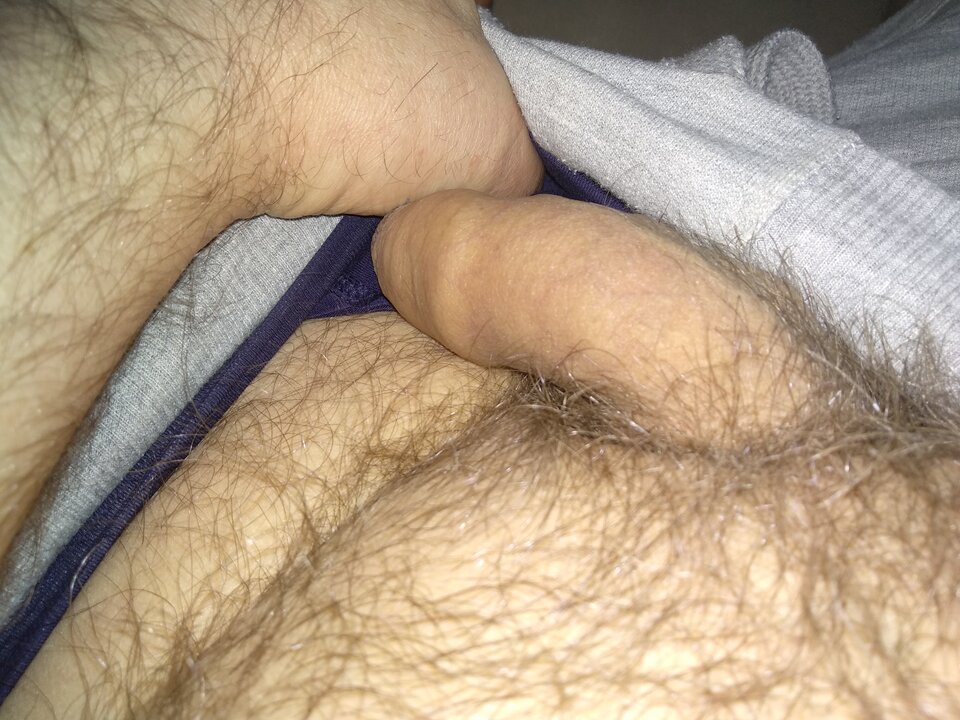 16088039156645567738510760642680.jpg - dupekalex