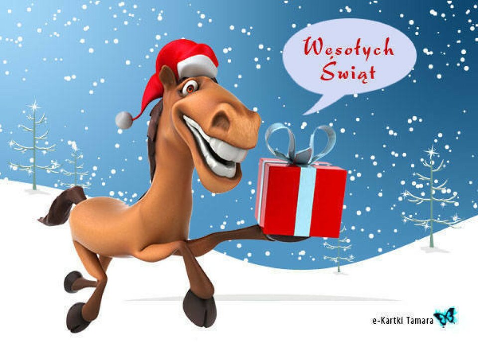 5c191957e8697_o.jpg - Parka_dla_M