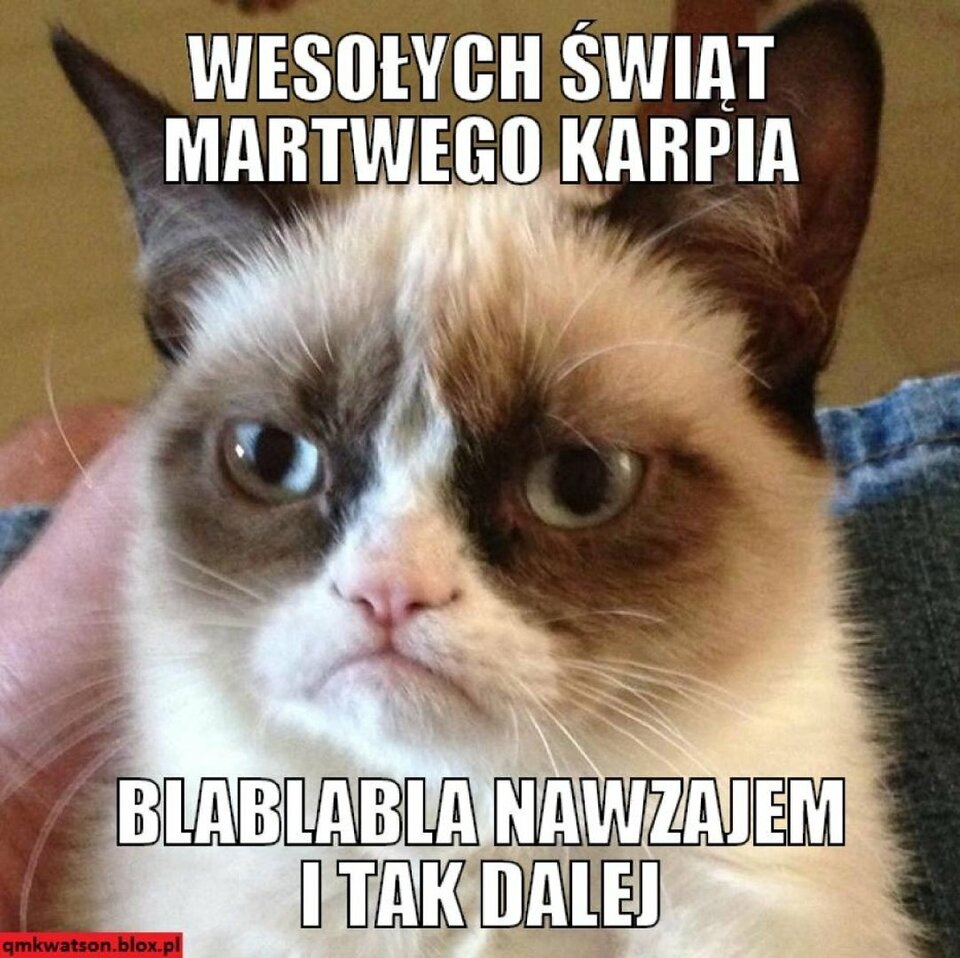 5a38f3a576359_o_full.jpg - Gejka