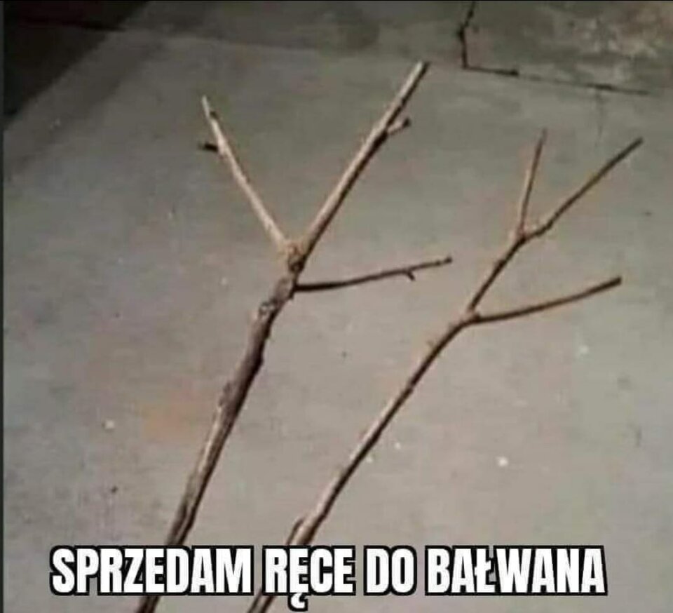 WhatsApp Image 2020-12-23 at 17.59.08.jpeg - larysaflynt