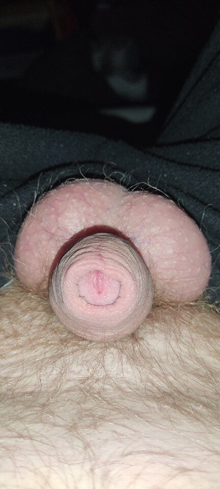 IMG_20201226_081930.jpg - belton50000