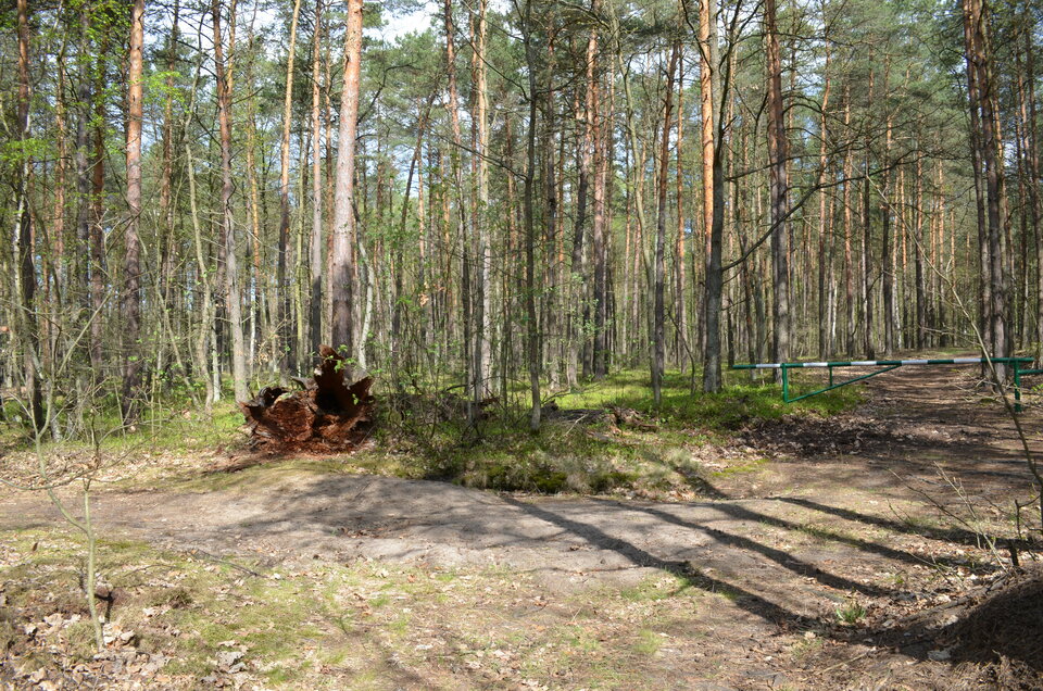 DSC_3332.JPG - fotografik5