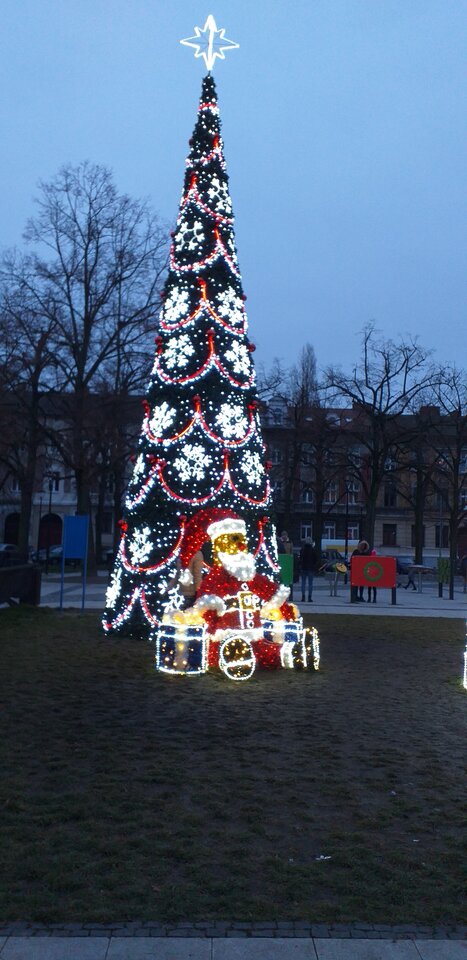 20201226_155302.jpg - Koralik66
