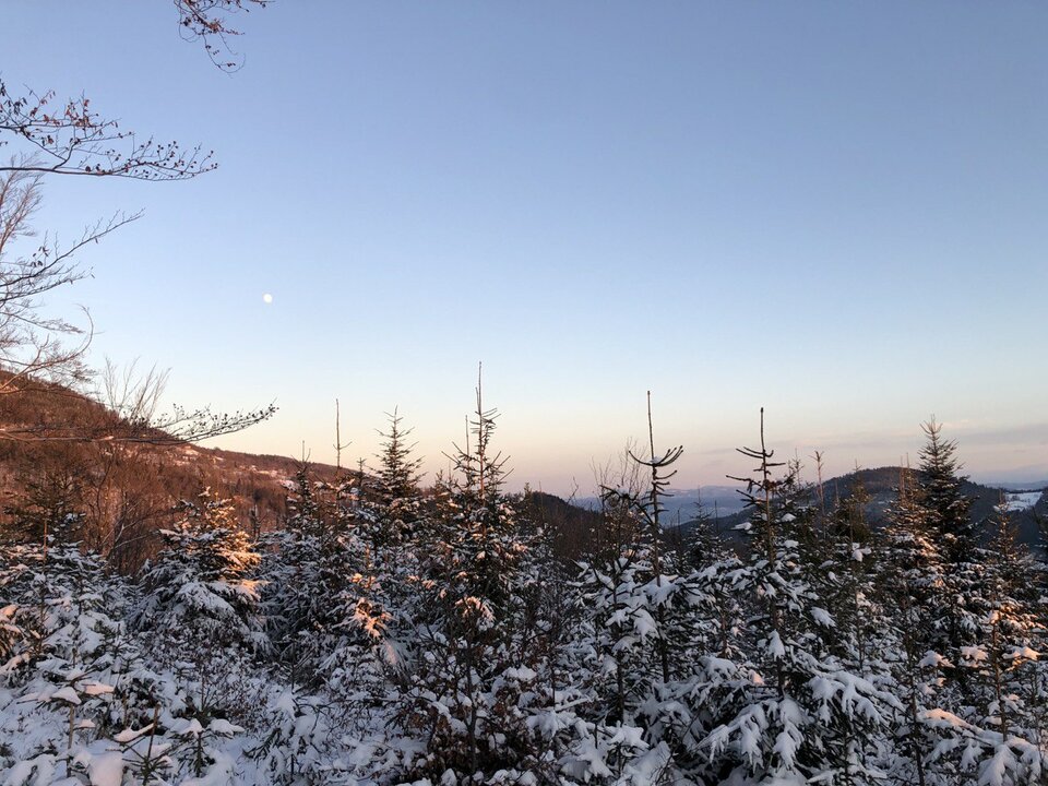 20201227_181019.jpg - GliwPara45