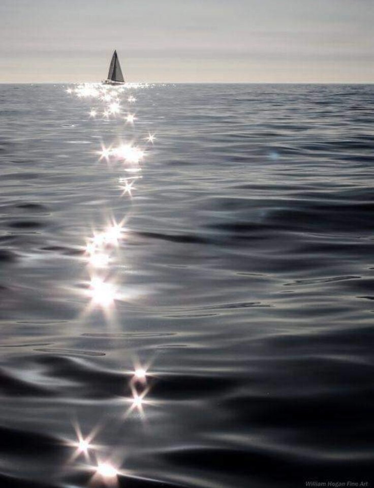 ✨✨ - antracytowapara