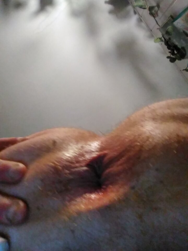 IMG_20201227_212635.jpg - Sqnheads