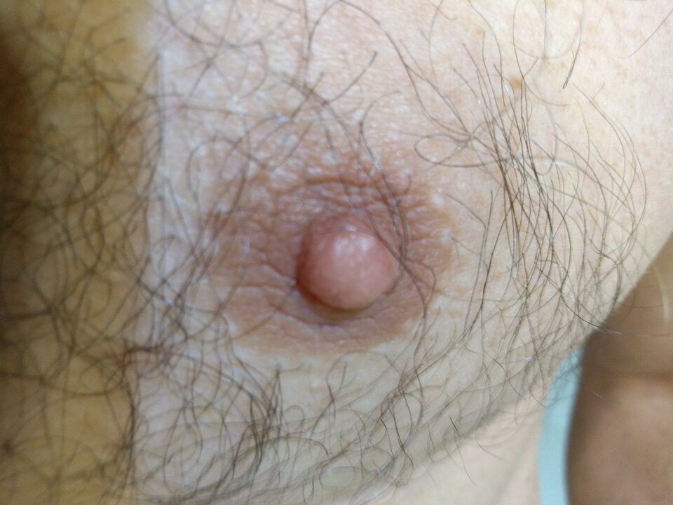 16091390944287552291052896473539.jpg - matuzalem000