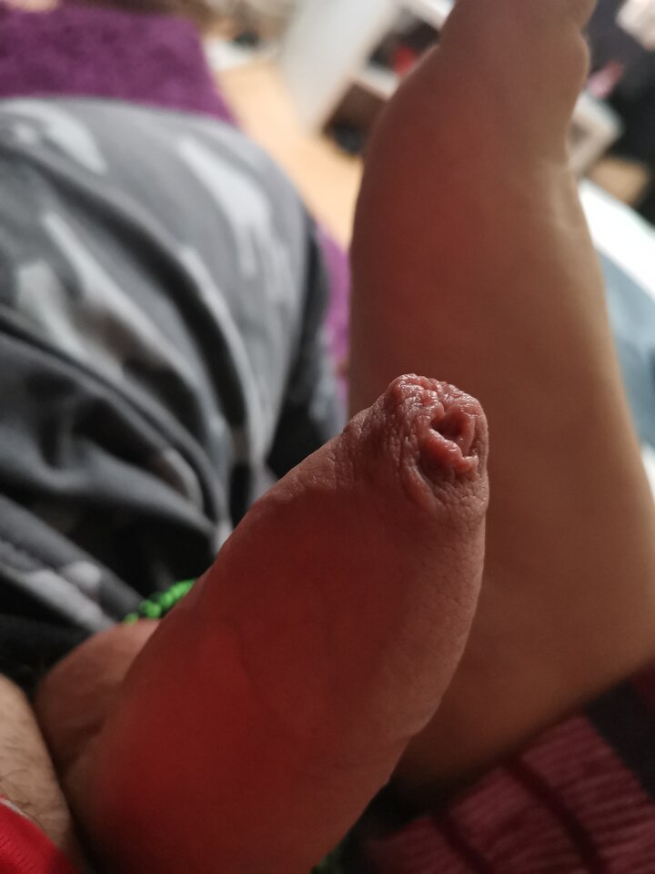 16091506967942109508947271923732.jpg - Voresfraekkeliv