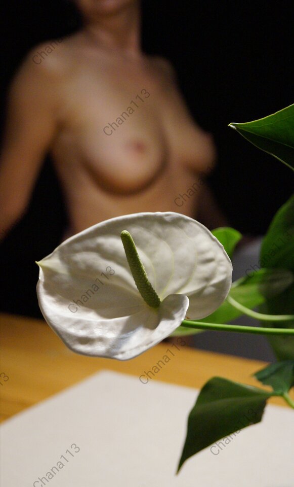 Photo_1609159061878.jpg - chana113