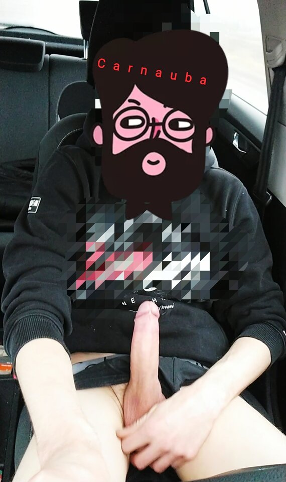 IMG_20201228_201820.jpg - Carnauba