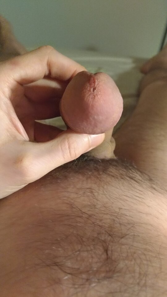 16092860144223099686429992879533.jpg - Antononon