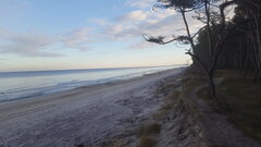 20201230_100009.jpg