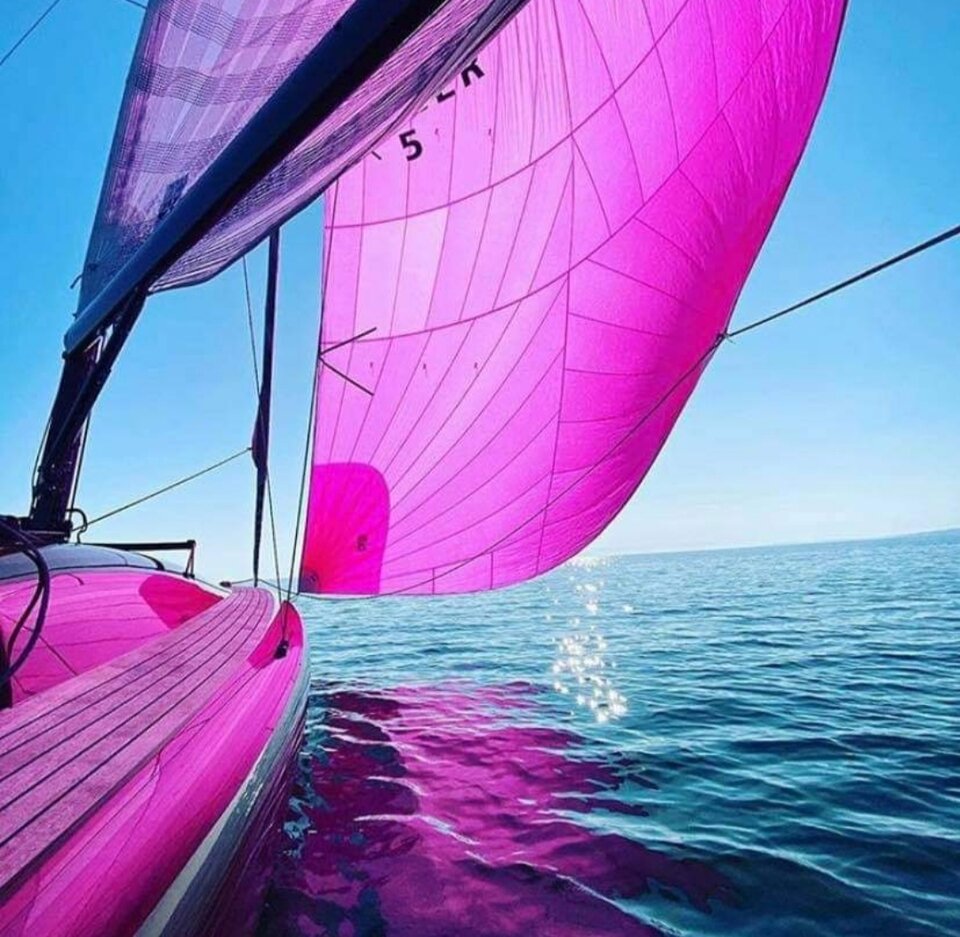 IMG_20201230_163412.jpg - antracytowapara