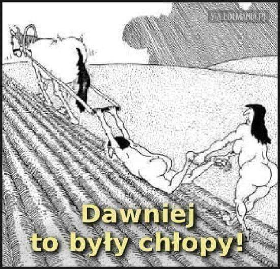 Gdzie Ci mężczyźni... - LadyAlicee_bdsm