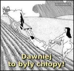 Gdzie Ci mężczyźni...