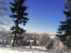 IMG_20201227_122113.jpg