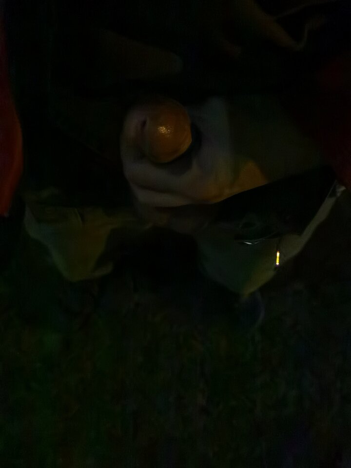 1609370558204.jpg - Mabakol