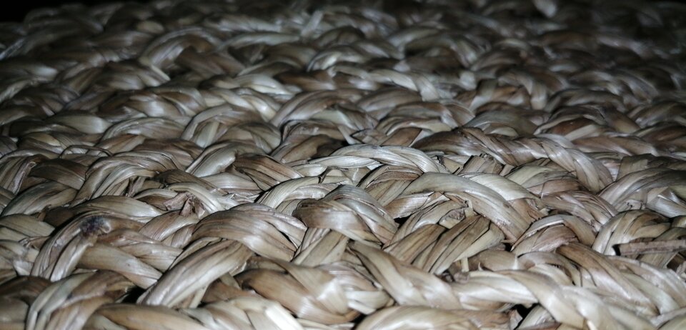 IMG_20201019_065101_BURST022.jpg - SzukaMyParki2