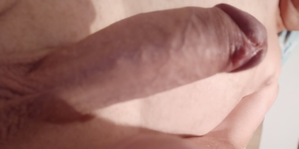 IMG_20200816_010438.jpg - Cipkoliz45