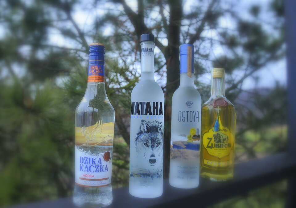 DSC_4157.JPG - demon13