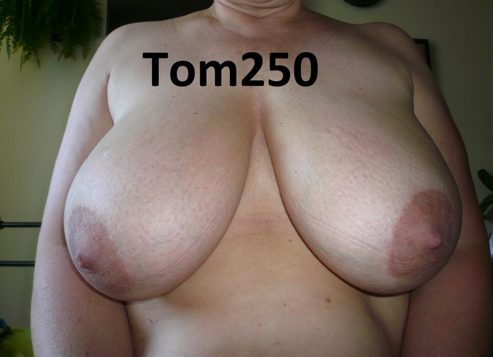 P1170510.JPG - Tom250