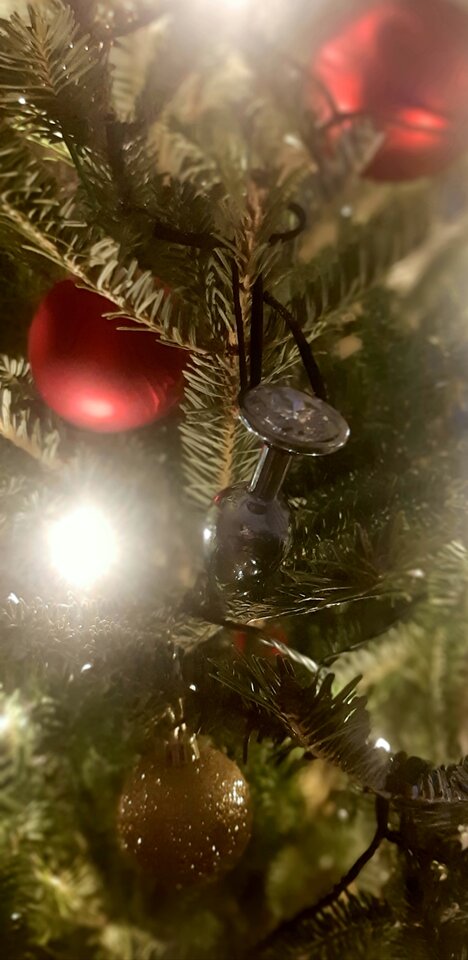 20210102_015607.jpg - fajnaparka31_32