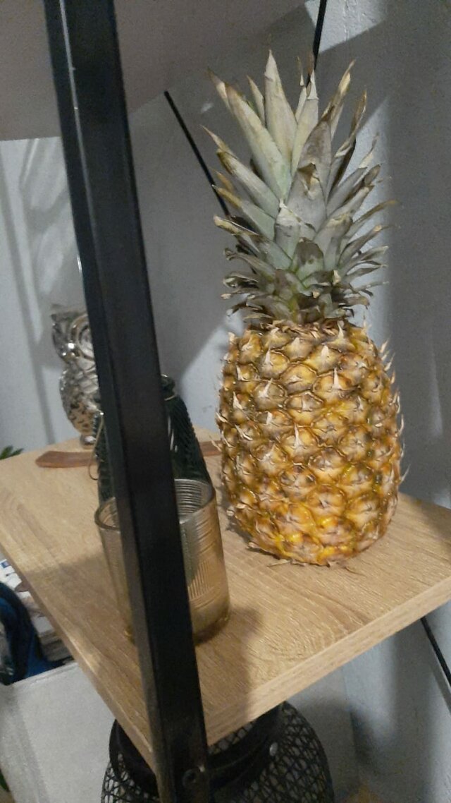 Sorenti