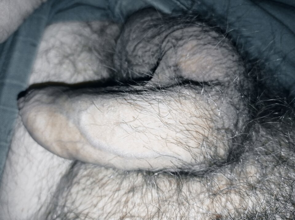 16096652795127079576736853251794.jpg - dupekalex