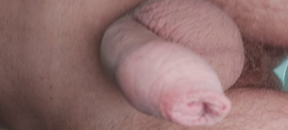 16096829830451974739084512946031.jpg - bialy198