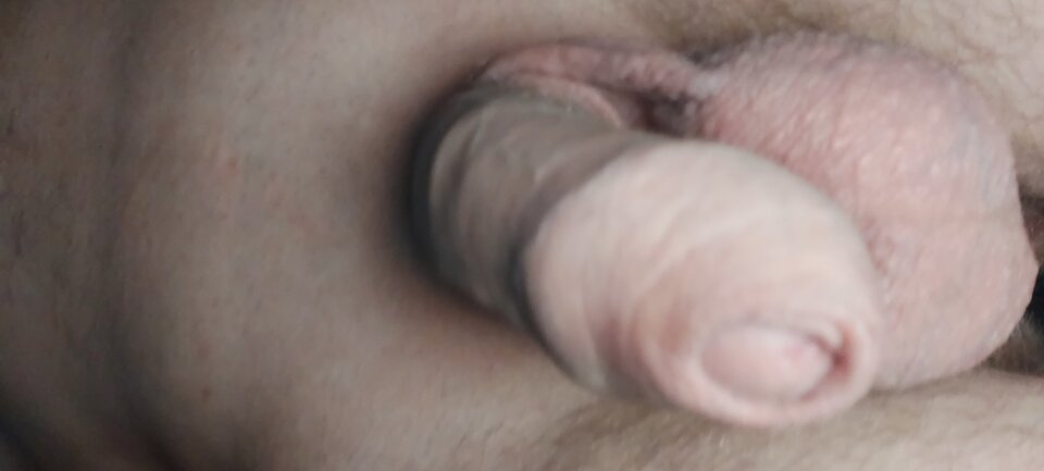 16097042483262512302665144125082.jpg - bialy198