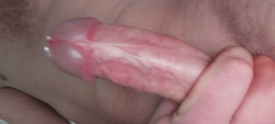 16097459322243239100621362650989.jpg - bialy198