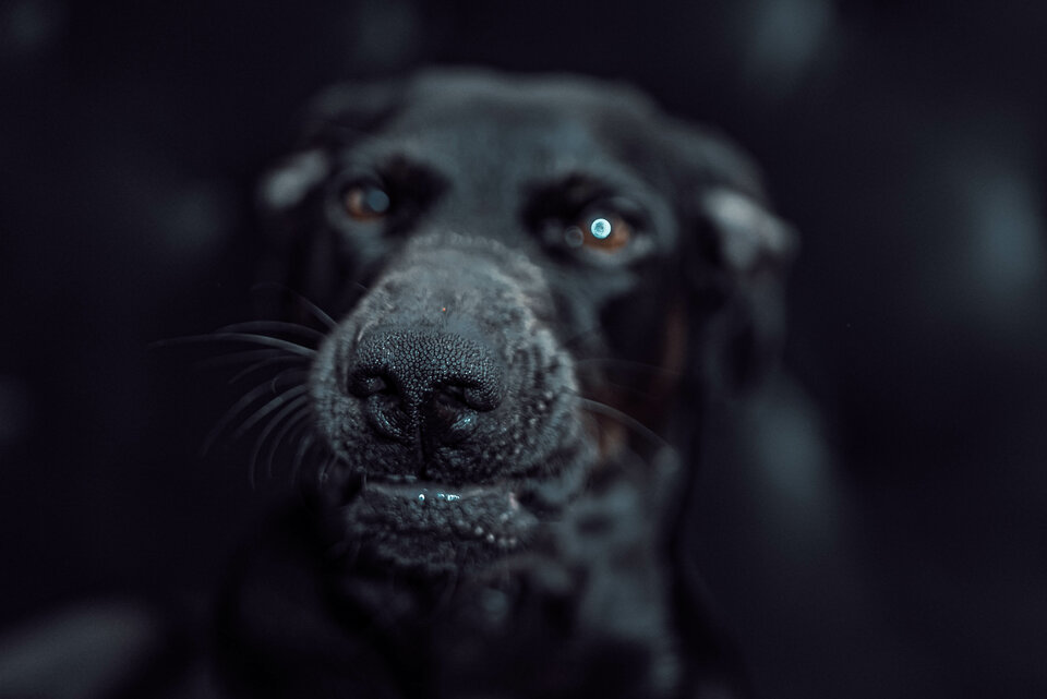 Z nochalem na przedzie ;) - mystic