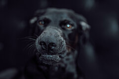 Z nochalem na przedzie ;)