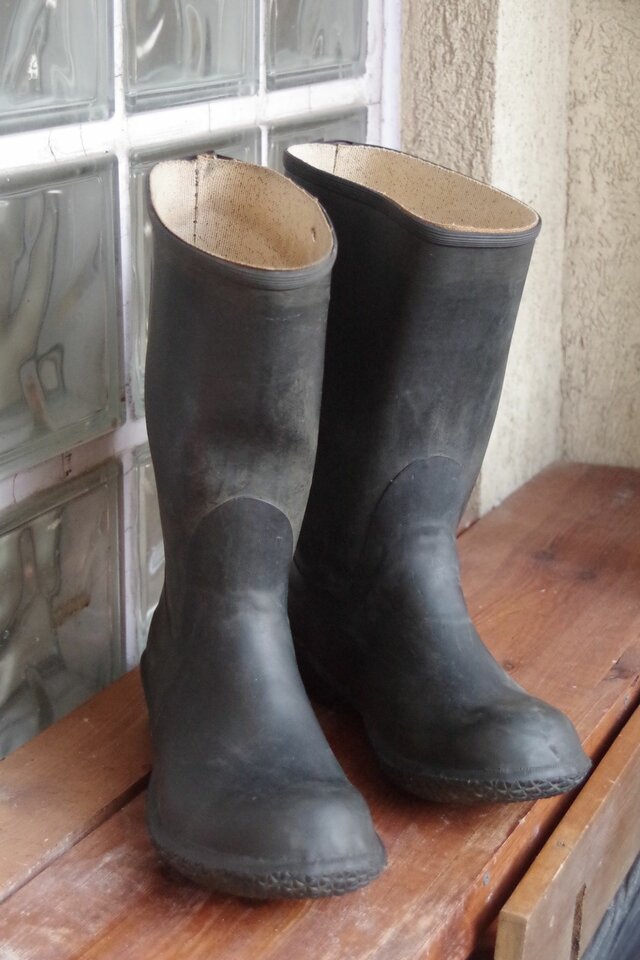 36998545_1832259783510607_1526925603180118016_o.jpg - gumowiefan