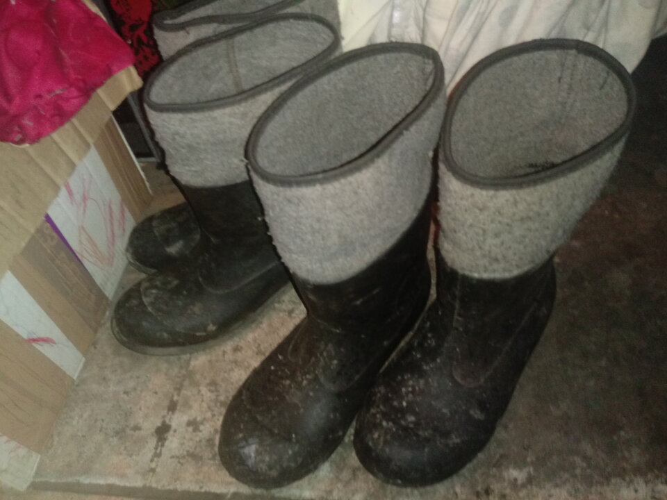 20190116_122309.jpg - gumowiefan