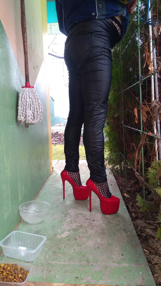 IMG_20210105_122449.jpg - unialeszno