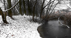 20210104_145525.jpg
