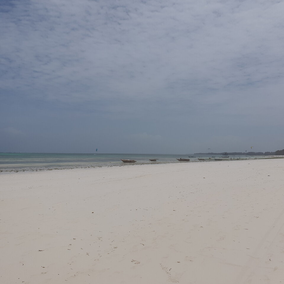 20210105_125530.jpg - heniek_lodz_50