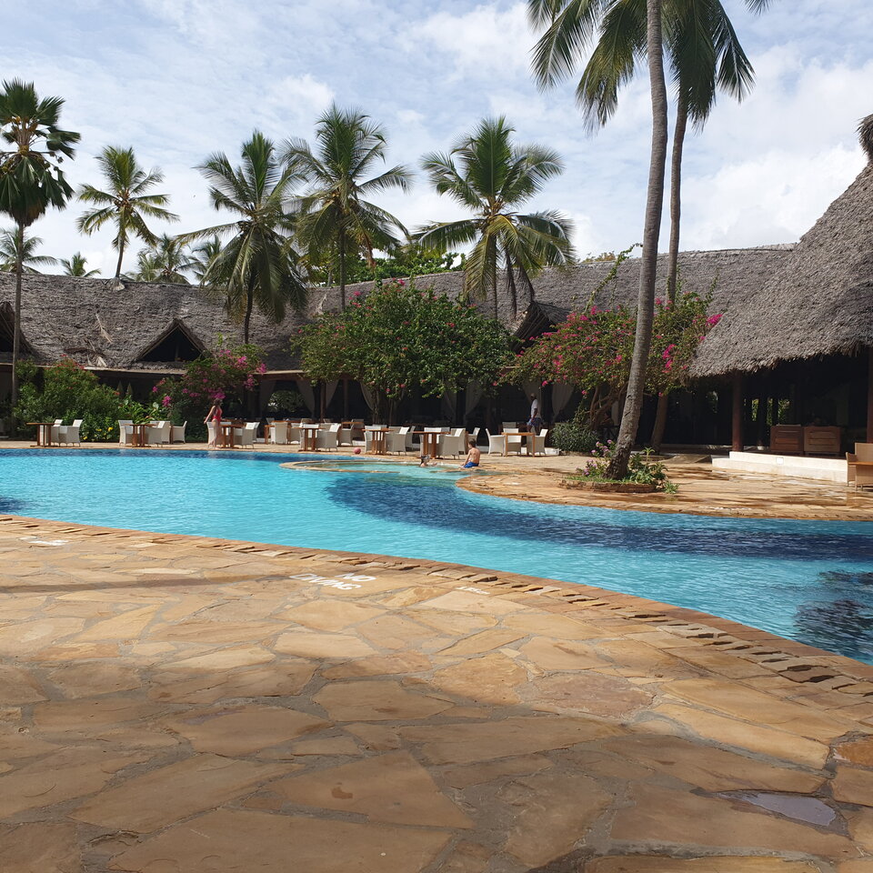 20210105_102255.jpg - heniek_lodz_50