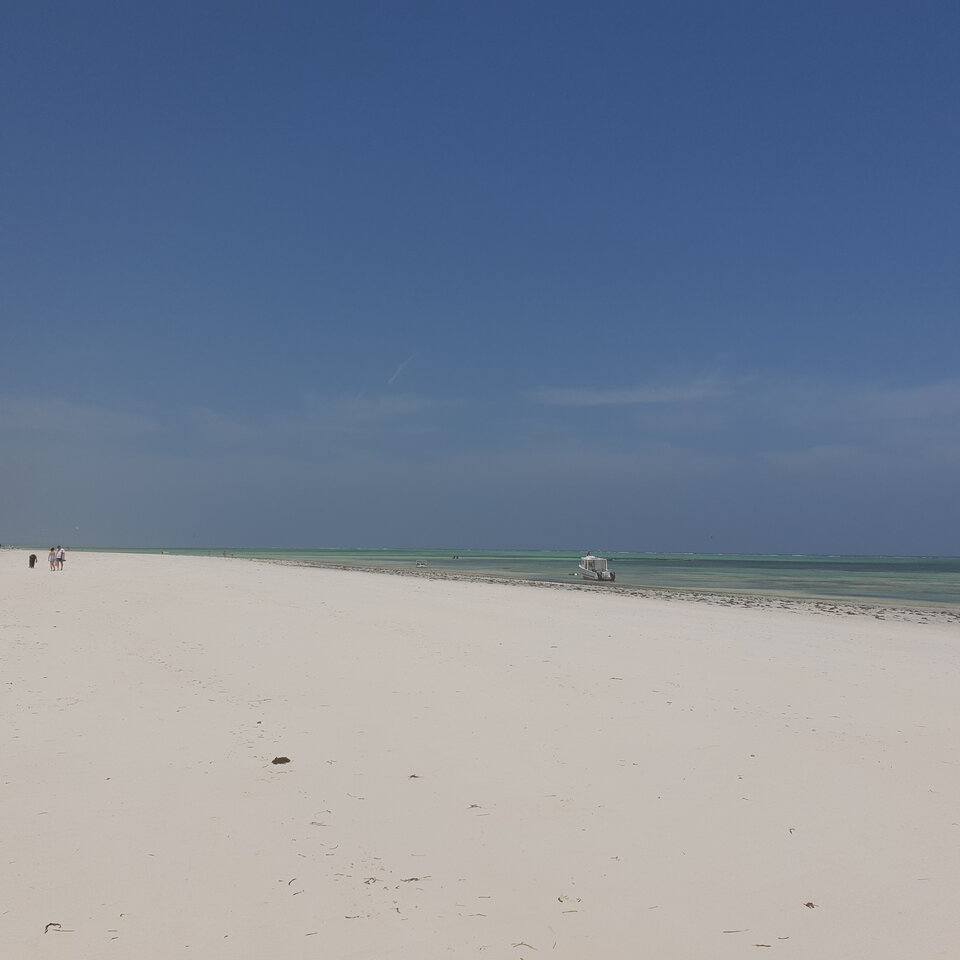 20210105_125524.jpg - heniek_lodz_50