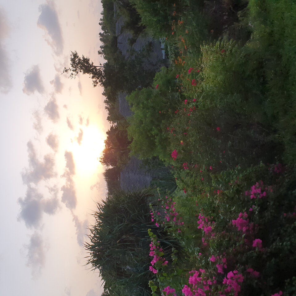 20210106_062801.jpg - heniek_lodz_50