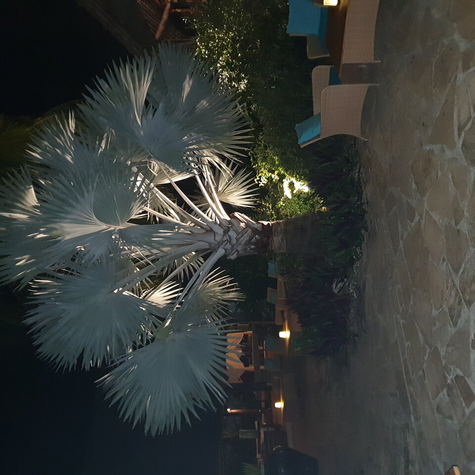 20210104_200503.jpg - heniek_lodz_50