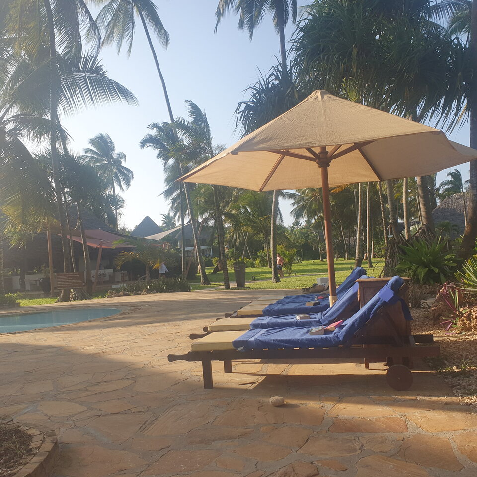 20210106_165736.jpg - heniek_lodz_50