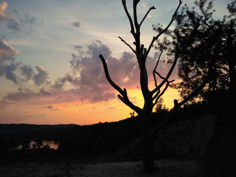 IMG_20170620_202926.jpg - rainbow82