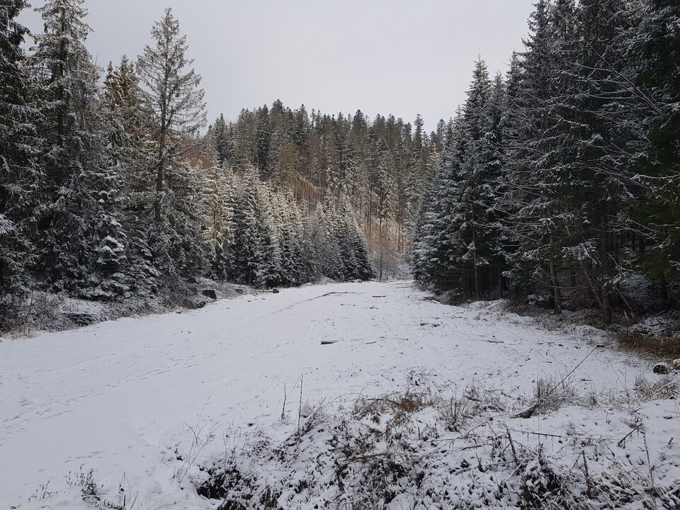 20210106_102908.jpg - Cartman77