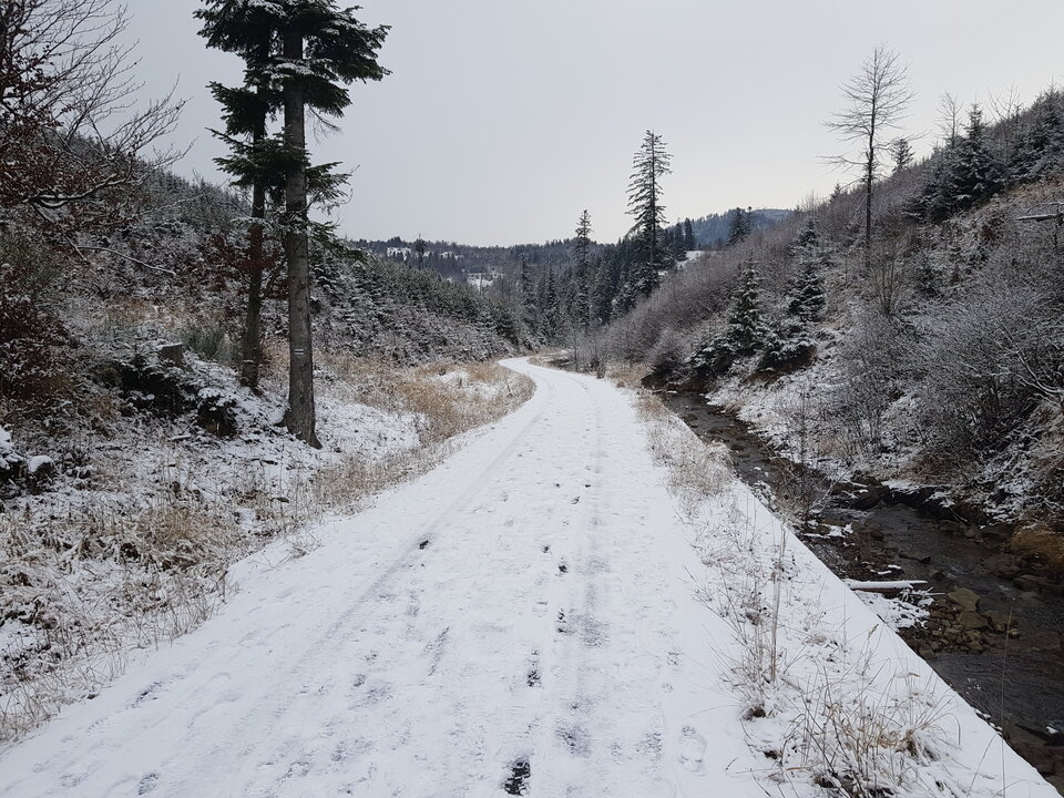 20210106_095922.jpg - Cartman77