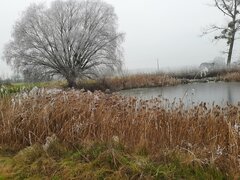 20210102_142826.jpg