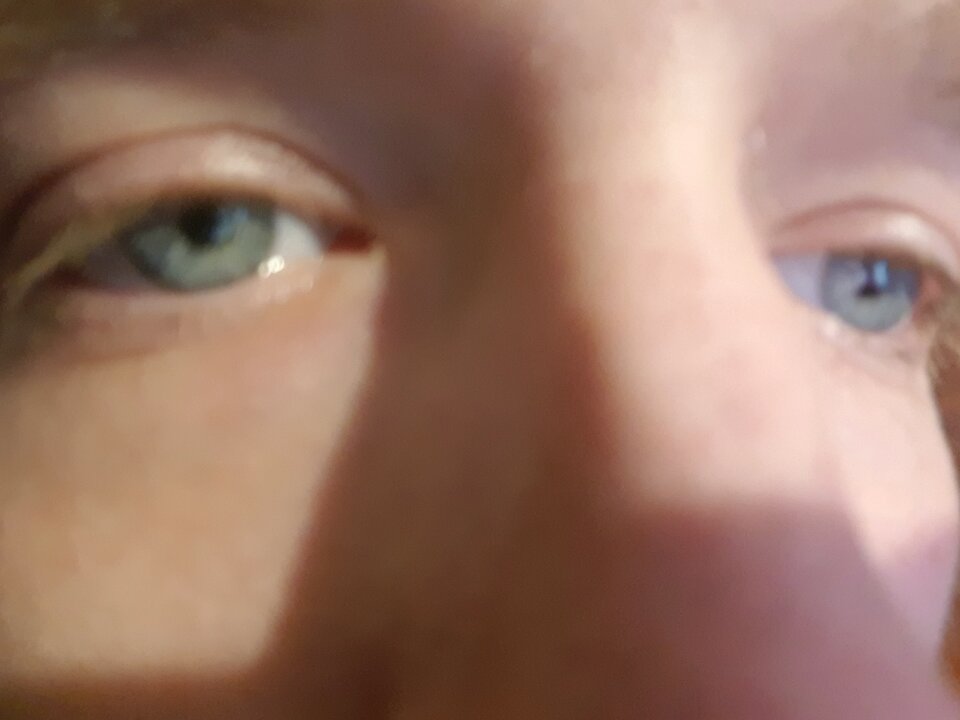 20210106_192254.jpg - Sirkonina